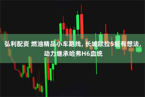 弘利配资 燃油精品小车路线, 长城欧拉5挺有想法, 动力继承哈弗H6血统